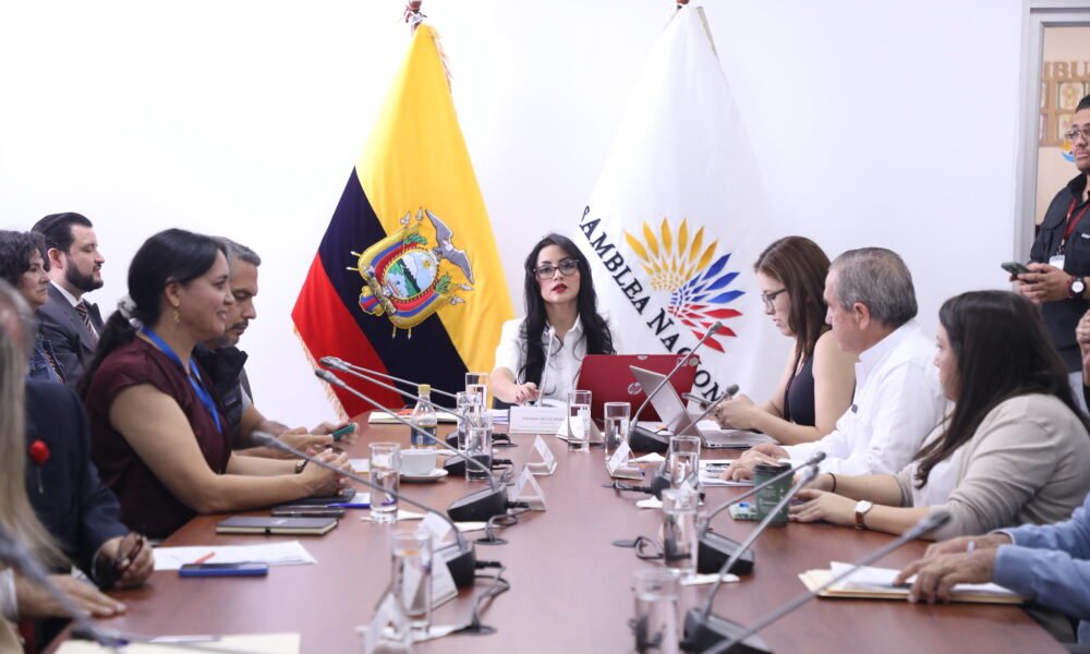 Comisión de la Niñez Investigará 624 Muertes Neonatales en Sesión en Guayaquil