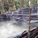 Fuerzas Armadas decomisan galones de combustible ilegal