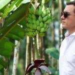 Nueva medida busca estabilidad en exportaciones agrícolas.
