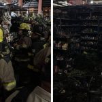 Fuego en Mercado Central: Bomberos Salvan el Día