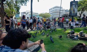 Más de 340.000 personas disfrutaron el feriado en parques